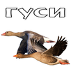 Decoy on gooses APK