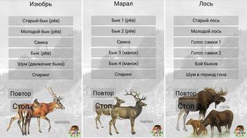 Манок на копытных الملصق