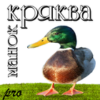 Манок на крякву PRO أيقونة