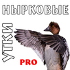 Манок на уток (нырковые) PRO APK