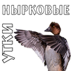 Манок на уток (нырковые) APK