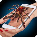 Spider Hand Funny Prank