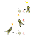 Tactical Group