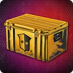 Open Case Simulator