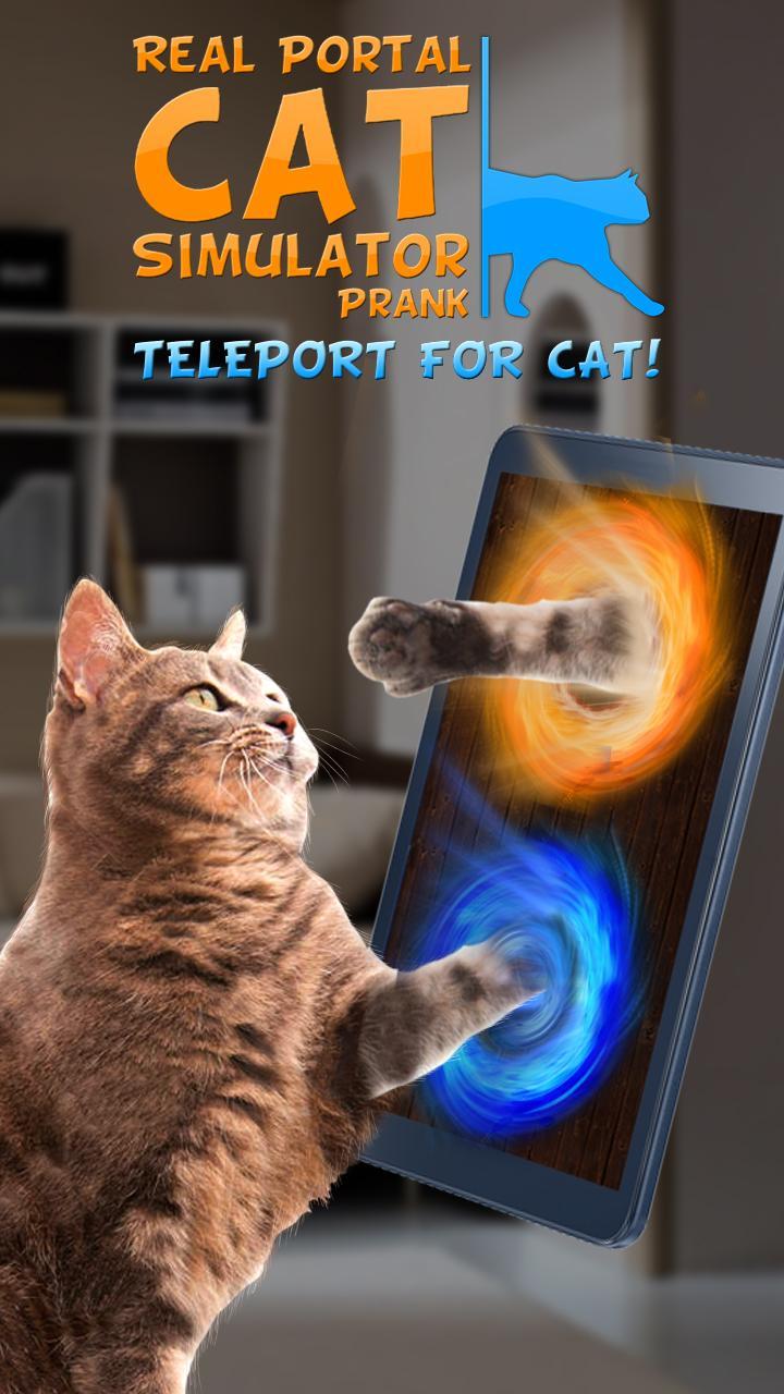 Real Portal Cat Simulator Prank For Android Apk Download