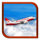 Онлайн табло Red Wings APK