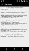 Проект Конституции Новороссии screenshot 1