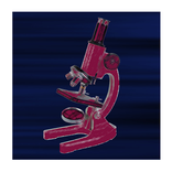 Что под микроскопом?