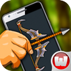 Arrow Bow Shooting APK