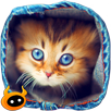 Find Kitten APK