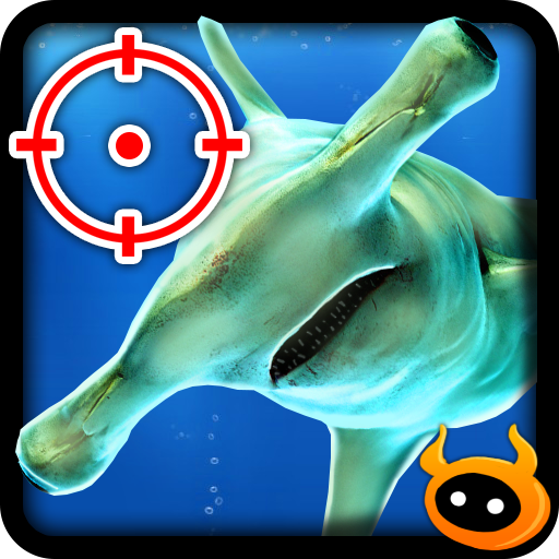 Kill Hammerhead Shark