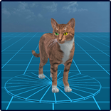Wild Cats: Avatar Maker 3D