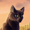 Коты-Воители. Новости APK