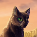 Коты-Воители. Новости