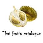 Thailand fruits catalogue icon