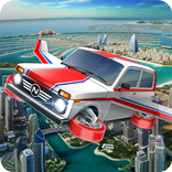 Driving Flying NIVA Simulator
