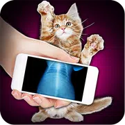 Raio X Scanner Pet Cat Prank