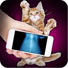 Xray Scanner Pet Cat Prank APK download