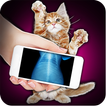 Xray Scanner Pet Cat Prank