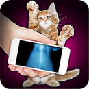 Xray Scanner Pet Cat Prank APK