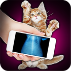 Xray Scanner Pet Cat Prank icône