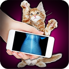 Xray Scanner Pet Cat Prank أيقونة