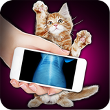 Xray Scanner Pet Cat Prank أيقونة