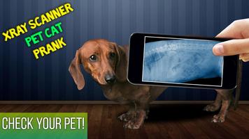 Xray Scanner Pet Cat Prank الملصق