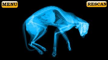 Xray Scanner Pet Cat Prank تصوير الشاشة 1