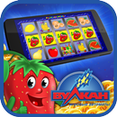 Вулкан игровые слоты APK