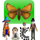 Butterfly Academy biểu tượng