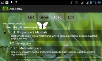 Butterfly Academy captura de pantalla 2