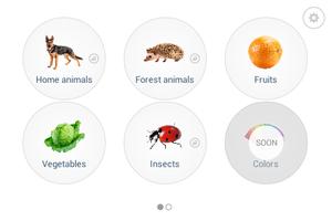 Little flash cards โปสเตอร์