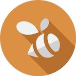 Zimbler | Музыкальная сеть