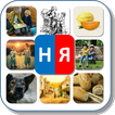 Автоматизация звука "Нь" в словах. Карточки "НЯ"