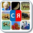 Автоматизация звука "Сь" в словах. Карточки "СЯ" APK