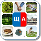 Карточки "ЩА" icon