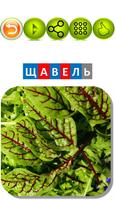 Карточки "ЩА" screenshot 2