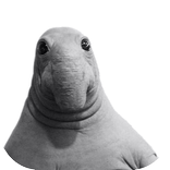 Создай Ждуна