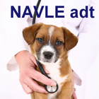 NAVLE - Anesthesia, Drugs, Tox icône