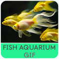 Fish Aquarium GIF