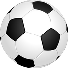 Football Soccer Fling icono