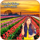 Colorful Tulips Photo Editor icône