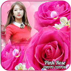 Pink Rose Photo Editor ไอคอน