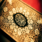 Quran Course English icône
