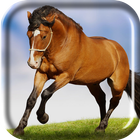 Running Horse Live Wallpaper icon