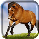 Running Horse Live Wallpaper icône