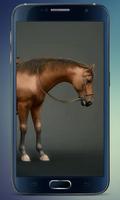 Running Horse Live Wallpaper capture d'écran 2