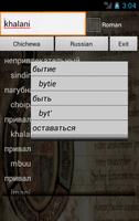 Russian Chichewa Dictionary Affiche