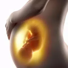 Скачать Беременность. Развитие беремен APK